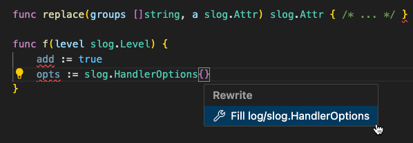 Before “Fill slog.HandlerOptions”